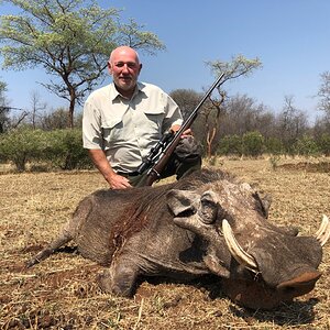 Zimbabwe Hunting Warthog