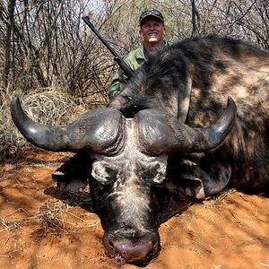 Buffalo Hunting South Africa