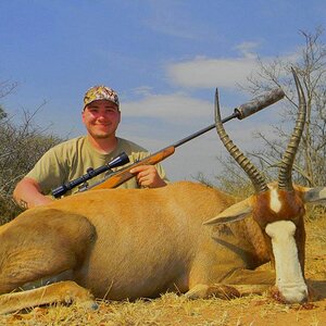 Blesbok ( Blesbuck)