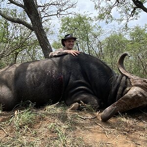 Cape Buffalo Hunt Tanzania