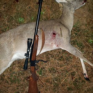 White-tailed Deer Hunt USA