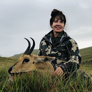 South Africa Hunting Mountain Reedbuck