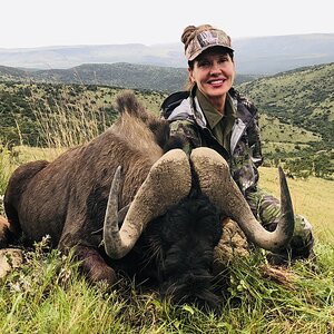 Black Wildebeest Hunt South Africa