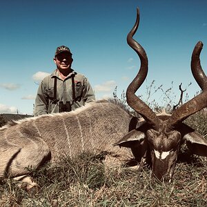 South Africa Hunting Kudu