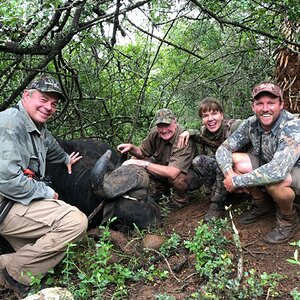 South Africa Hunt Cape Buffalo