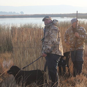 Wild Bird Shooting South Africa