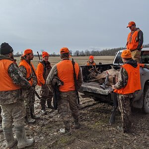 Canada Hunt Deer