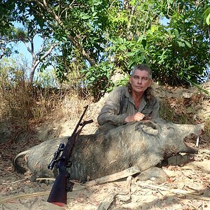 Hunting Boar in Australia