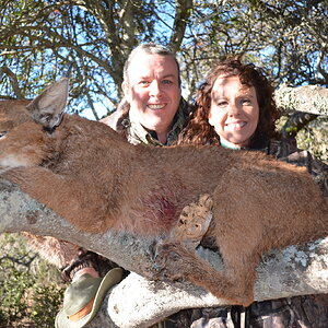 South Africa Hunt Caracal