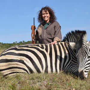 Burchell's Plain Zebra Hunting South Africa