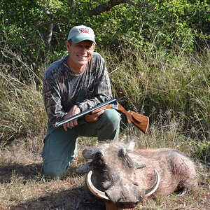 South Africa Hunting Warthog