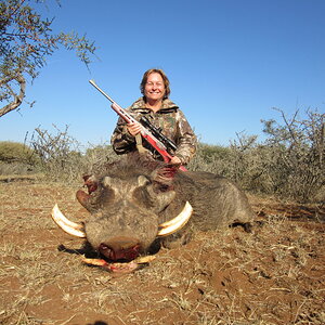 Warthog Hunt South Africa