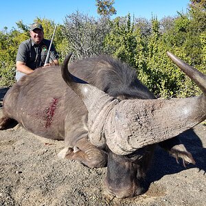 Hunting Buffalo in South Africa