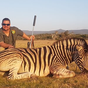 South Africa Hunting Burchell's Plain Zebra