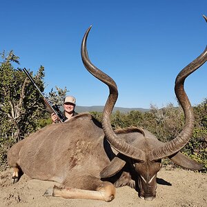 Kudu Hunt South Africa