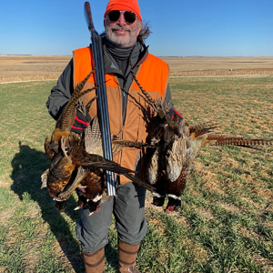 Pheasant Hunt South Dakota USA