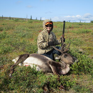 Alaska USA Hunting Caribou