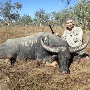 Hunting Asiatic Water Buffalo in Australia