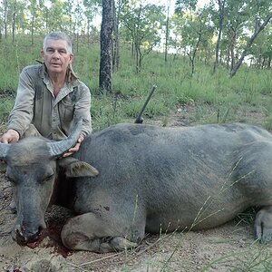 Asiatic Water Buffalo Hunting Australia