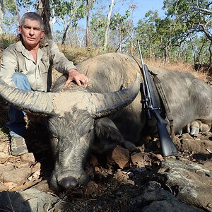 Hunt Asiatic Water Buffalo in Australia