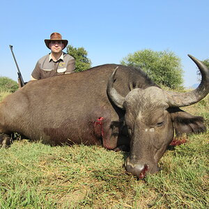 Hunting Buffalo in South Africa