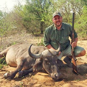 South Africa Hunting Buffalo