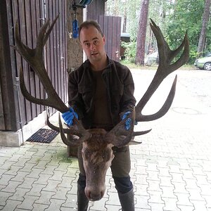 Germany Hunt Red Stag