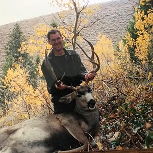 USA Hunt Mule Deer