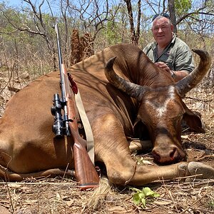 Australia Hunting Scrub bull