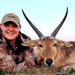 Common Reedbuck Hunting South Africa