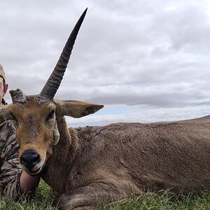 Hunting Common Reedbuck in South Africa