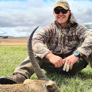 South Africa Hunt Common Reedbuck