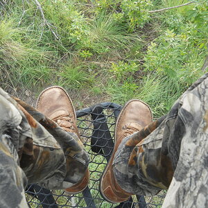 Bow Hunt Bushpig in South Africa