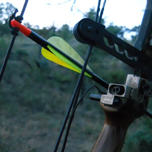 Bushpig Bow Hunt in South Africa