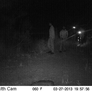 Bushpig Hunting Trail Cam Pictures South Africa