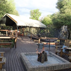 Safari Tented Camp - Limpopo