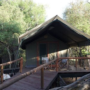 Safari Tented Camp - Limpopo