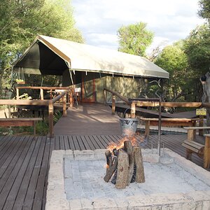 Safari Tented Camp - Limpopo