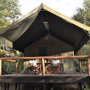 Safari Tented Camp - Limpopo