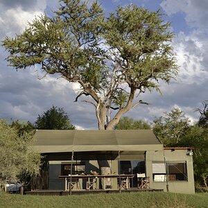 Safari Tented Camp - Limpopo