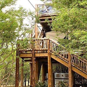 Bushbaby Accommodation