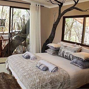 Tree House Accommodation