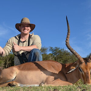 Impala Hunt South Africa