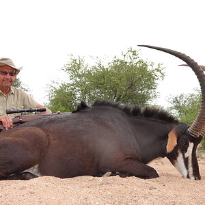 South Africa Hunt Sable Antelope