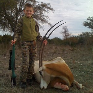 Scimitar Oryx Hunt