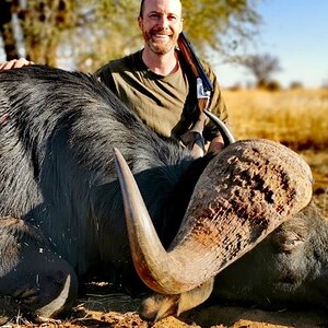 Cape Buffalo Hunt South Africa