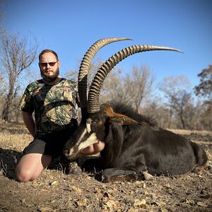 Sable Bow Hunt South Africa