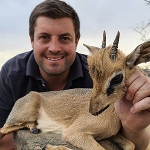 Hunting Damara Dik Dik with Jacques Spamer