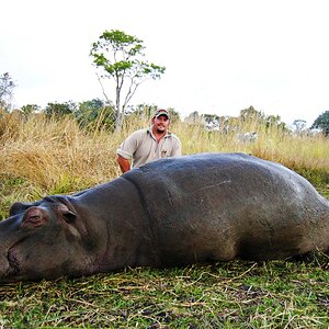 Hippo Hunt South Africa