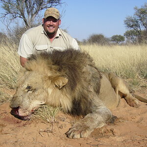 Hunt Lion in South Africa